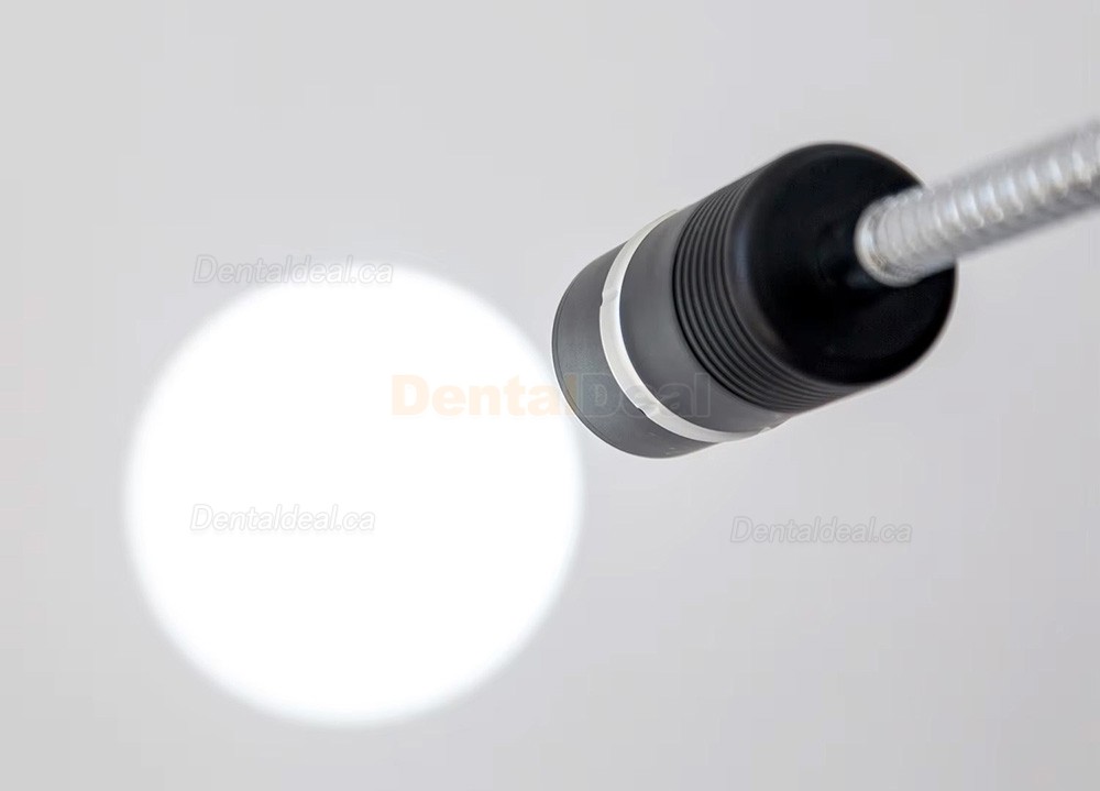 Micare JD1200L 12W Mobile Type Dental Examination Lamp Shadowless Oral Light Floor Standing